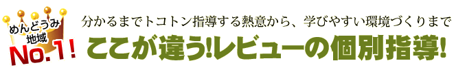 ここが違う！レビューの個別指導！